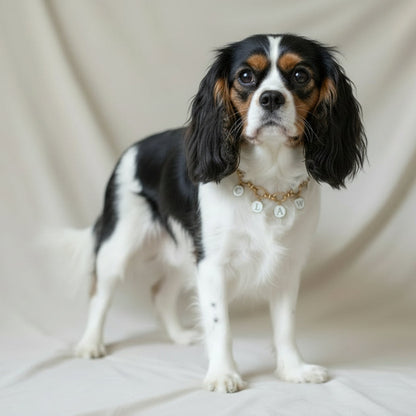 おなまえチョーカー (アルファベットチャーム付き)